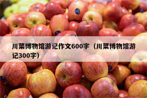 川菜博物馆游记作文600字(川菜博物馆游记300字)