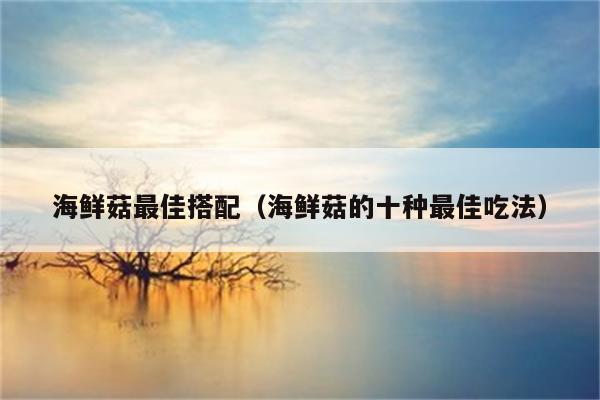 海鲜菇最佳搭配(海鲜菇的十种最佳吃法)