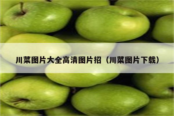 川菜图片大全高清图片招(川菜图片下载)