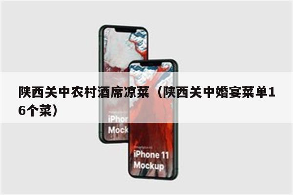 陕西关中农村酒席凉菜（陕西关中婚宴菜单16个菜）