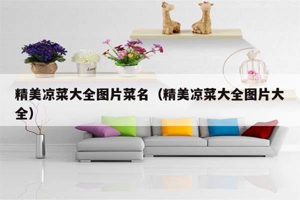 精美凉菜大全图片菜名（精美凉菜大全图片大全）