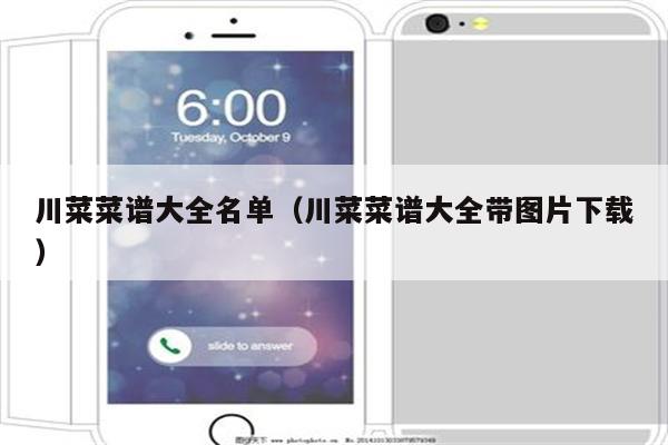 川菜菜谱大全名单（川菜菜谱大全带图片下载）