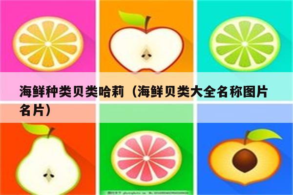 海鲜种类贝类哈莉（海鲜贝类大全名称图片 名片）