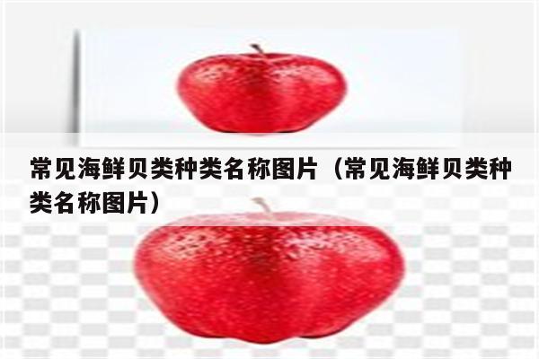 常见海鲜贝类种类名称图片（常见海鲜贝类种类名称图片）