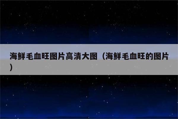 海鲜毛血旺图片高清大图（海鲜毛血旺的图片）