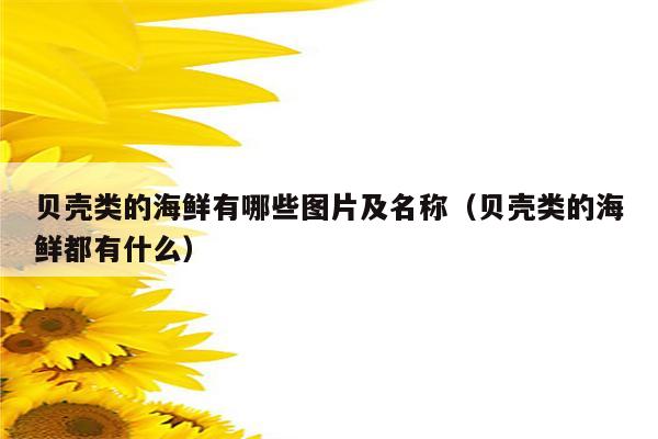 贝壳类的海鲜有哪些图片及名称（贝壳类的海鲜都有什么）