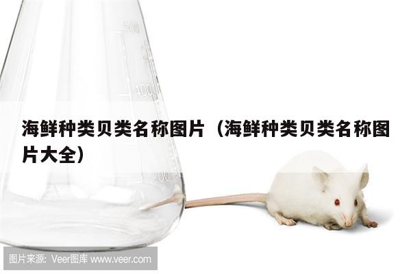 海鲜种类贝类名称图片(海鲜种类贝类名称图片大全)