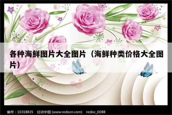 各种海鲜图片大全图片（海鲜种类价格大全图片）