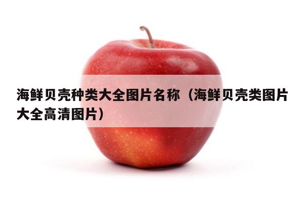 海鲜贝壳种类大全图片名称（海鲜贝壳类图片大全高清图片）