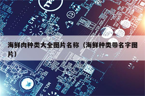 海鲜肉种类大全图片名称（海鲜种类带名字图片）
