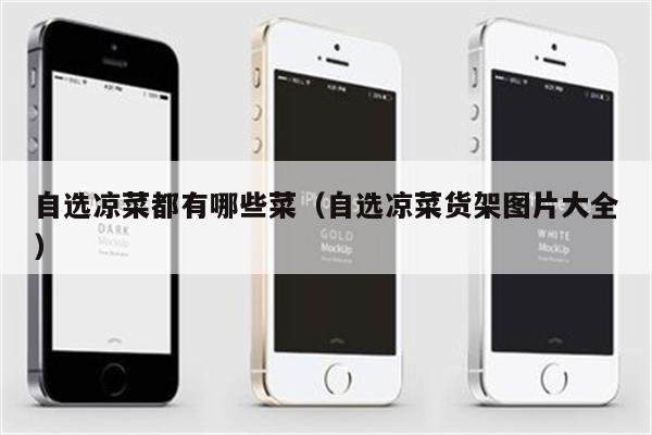 自选凉菜都有哪些菜（自选凉菜货架图片大全）
