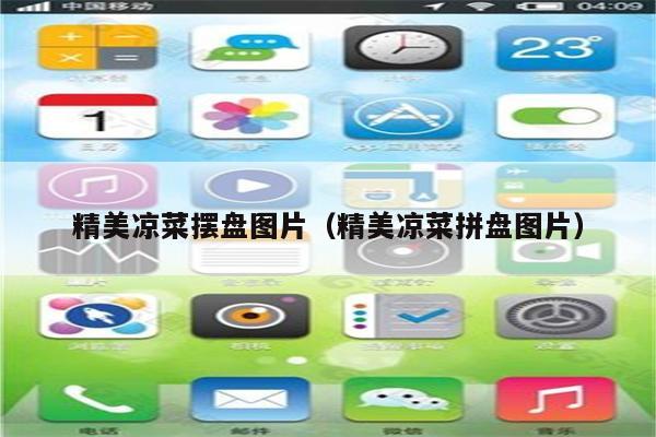 精美凉菜摆盘图片（精美凉菜拼盘图片）