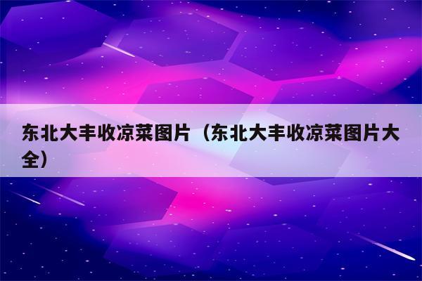 东北大丰收凉菜图片（东北大丰收凉菜图片大全）