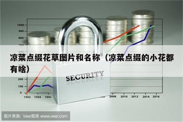凉菜点缀花草图片和名称（凉菜点缀的小花都有啥）