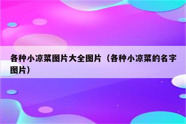 各种小凉菜图片大全图片（各种小凉菜的名字图片）