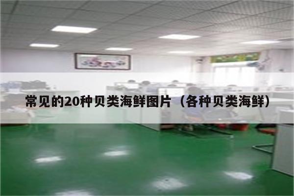常见的20种贝类海鲜图片（各种贝类海鲜）