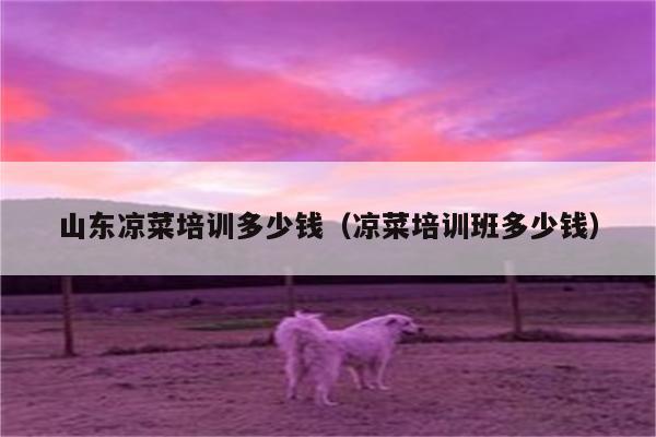 山东凉菜培训多少钱（凉菜培训班多少钱）