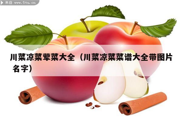 川菜凉菜荤菜大全（川菜凉菜菜谱大全带图片 名字）