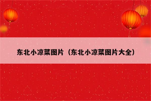 东北小凉菜图片（东北小凉菜图片大全）
