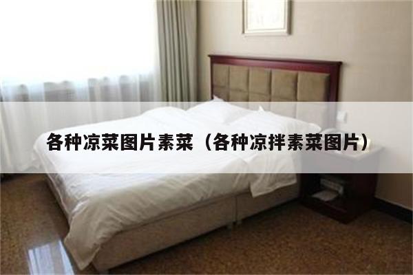 各种凉菜图片素菜（各种凉拌素菜图片）