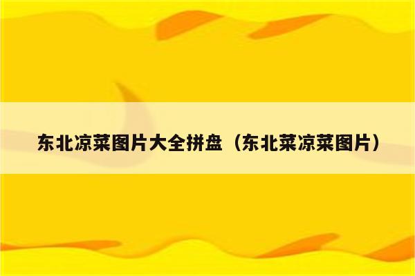 东北凉菜图片大全拼盘（东北菜凉菜图片）