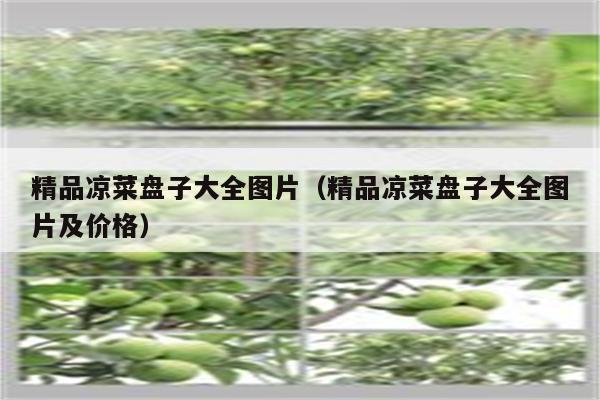 精品凉菜盘子大全图片（精品凉菜盘子大全图片及价格）