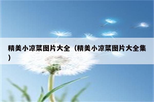 精美小凉菜图片大全（精美小凉菜图片大全集）
