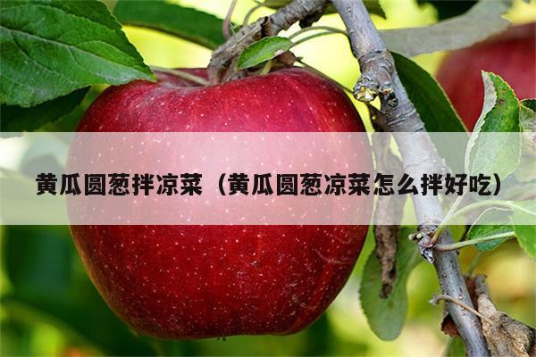 黄瓜圆葱拌凉菜（黄瓜圆葱凉菜怎么拌好吃）