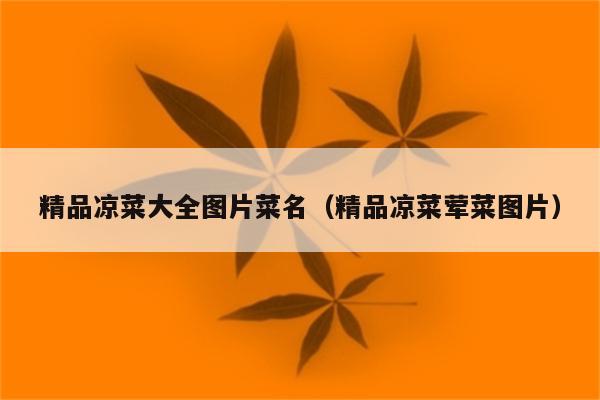 精品凉菜大全图片菜名（精品凉菜荤菜图片）