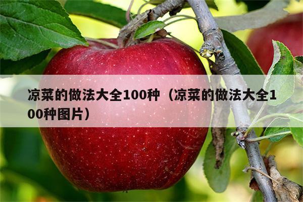 凉菜的做法大全100种（凉菜的做法大全100种图片）
