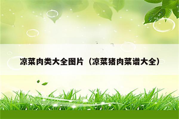 凉菜肉类大全图片（凉菜猪肉菜谱大全）