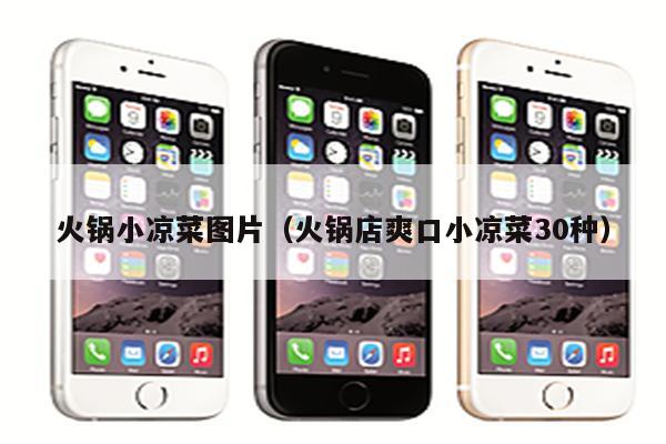 火锅小凉菜图片（火锅店爽口小凉菜30种）