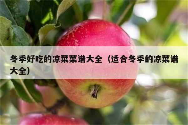 冬季好吃的凉菜菜谱大全（适合冬季的凉菜谱大全）