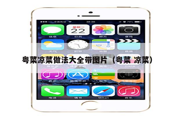 粤菜凉菜做法大全带图片（粤菜 凉菜）