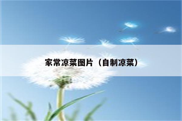 家常凉菜图片(自制凉菜)