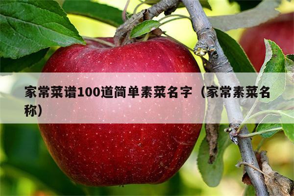 家常菜谱100道简单素菜名字(家常素菜名称)