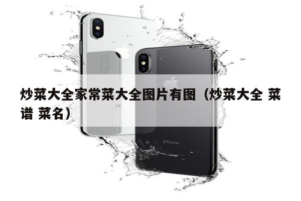 炒菜大全家常菜大全图片有图(炒菜大全 菜谱 菜名)