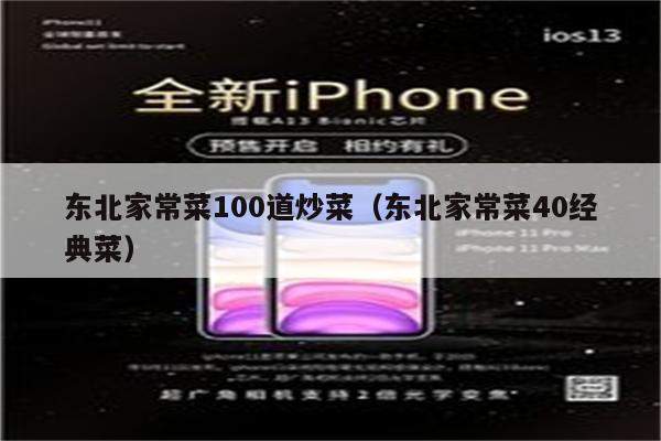 东北家常菜100道炒菜(东北家常菜40经典菜)