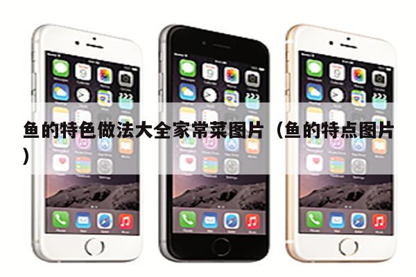鱼的特色做法大全家常菜图片(鱼的特点图片)